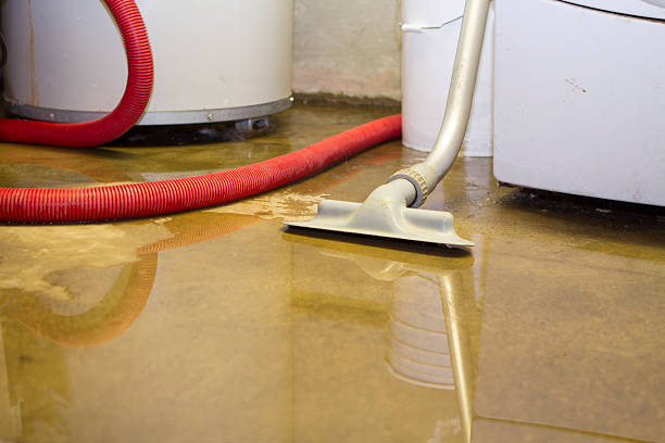 Best Residential water damage restoration  in Westport Village, CT