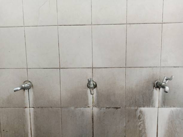 Best Flood damage cleanup  in Westport Village, CT