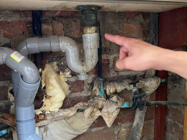 Best Water damage contractors near me  in Westport Village, CT